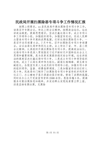 民政局开展扫黑除恶专项斗争工作情况汇报