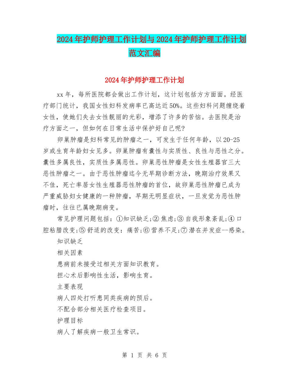 2024年护师护理工作计划与2024年护师护理工作计划范文汇编_第1页