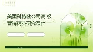 美国科特勒公司高级营销精英研究课件