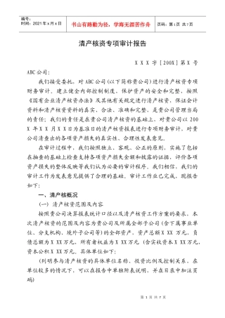 清产核资专项审计报告