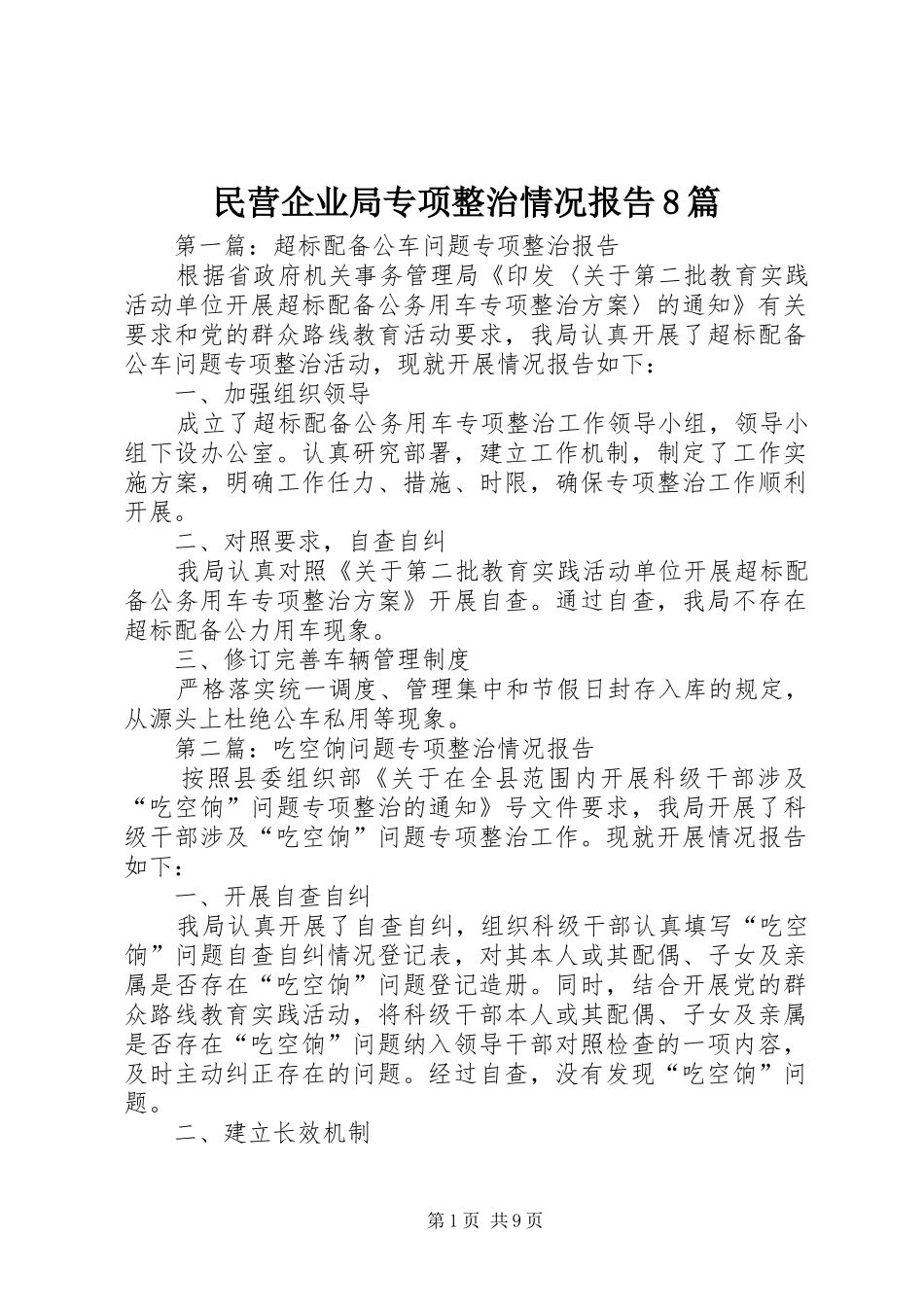 民营企业局专项整治情况报告8篇_第1页