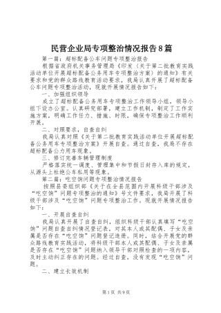 民营企业局专项整治情况报告8篇