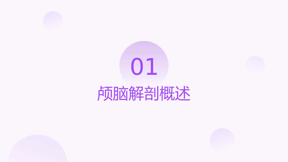 颅脑断面解剖护理课件_第3页