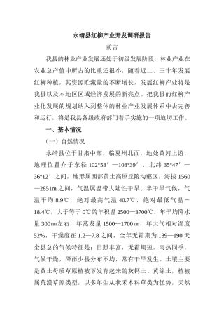 永靖县红柳产业开发调研报1