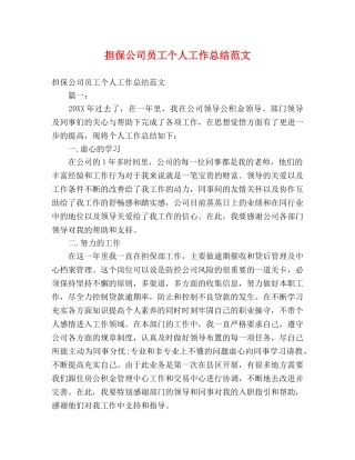 担保公司员工个人工作总结范文 