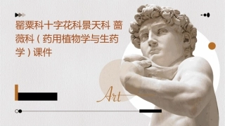 罂粟科十字花科景天科蔷薇科(药用植物学与生药学)课件