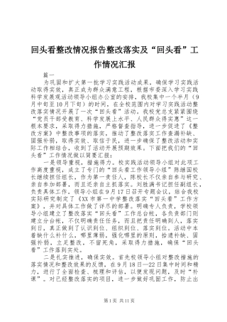 回头看整改情况报告整改落实及“回头看”工作情况汇报