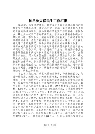 抗旱救灾保民生工作汇报
