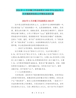 2024年11月乡镇工作总结范文2000字与2024年11月乡镇政府信息公开情况总结汇编
