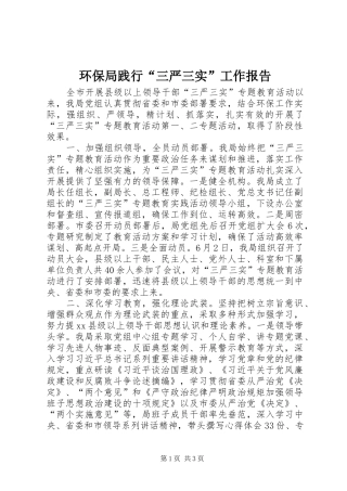 环保局践行“三严三实”工作报告