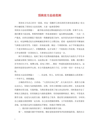 顶岗实习总结范例 