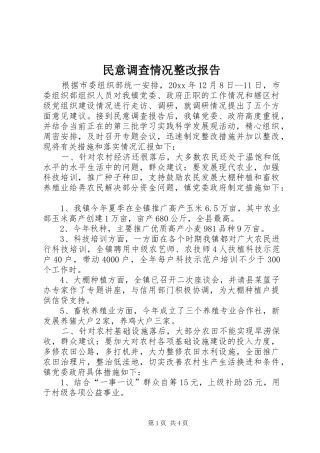 民意调查情况整改报告
