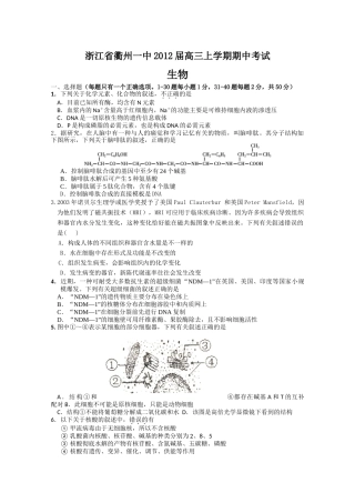 浙江省衢州一中2012届高三上学期期中考试(生物)