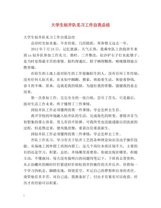 大学生钻井队见习工作自我总结 