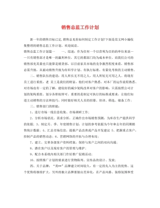 销售总监工作计划 