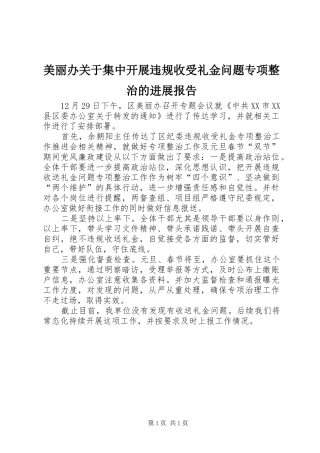 美丽办关于集中开展违规收受礼金问题专项整治的进展报告