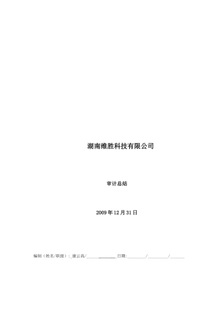湖南某科技公司审计总结