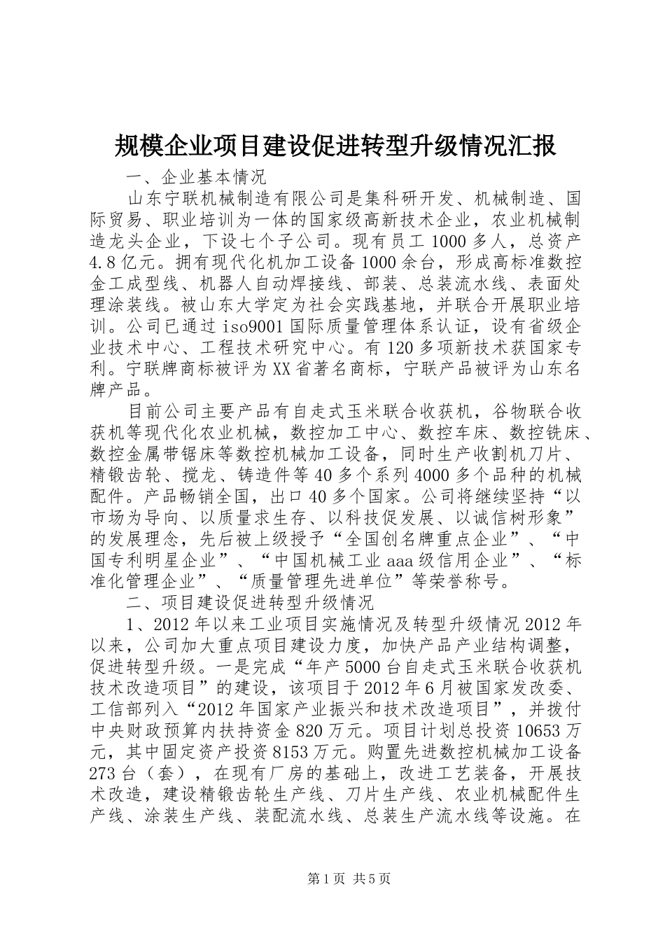规模企业项目建设促进转型升级情况汇报_第1页