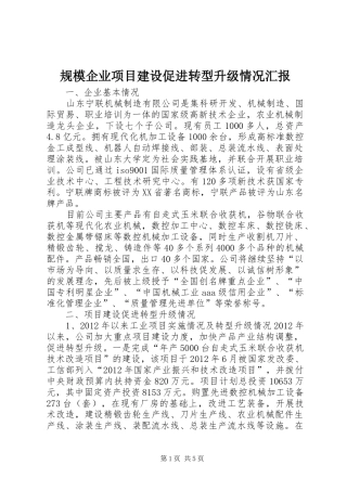 规模企业项目建设促进转型升级情况汇报