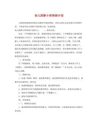 幼儿园新小班班级计划 
