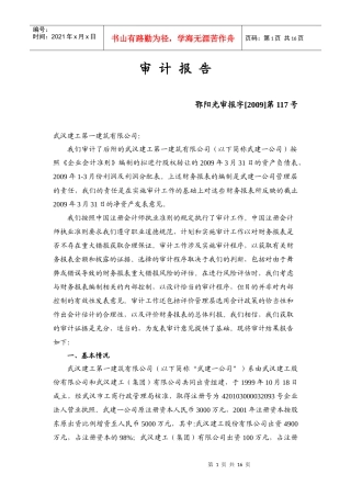 武汉某公司审计报告