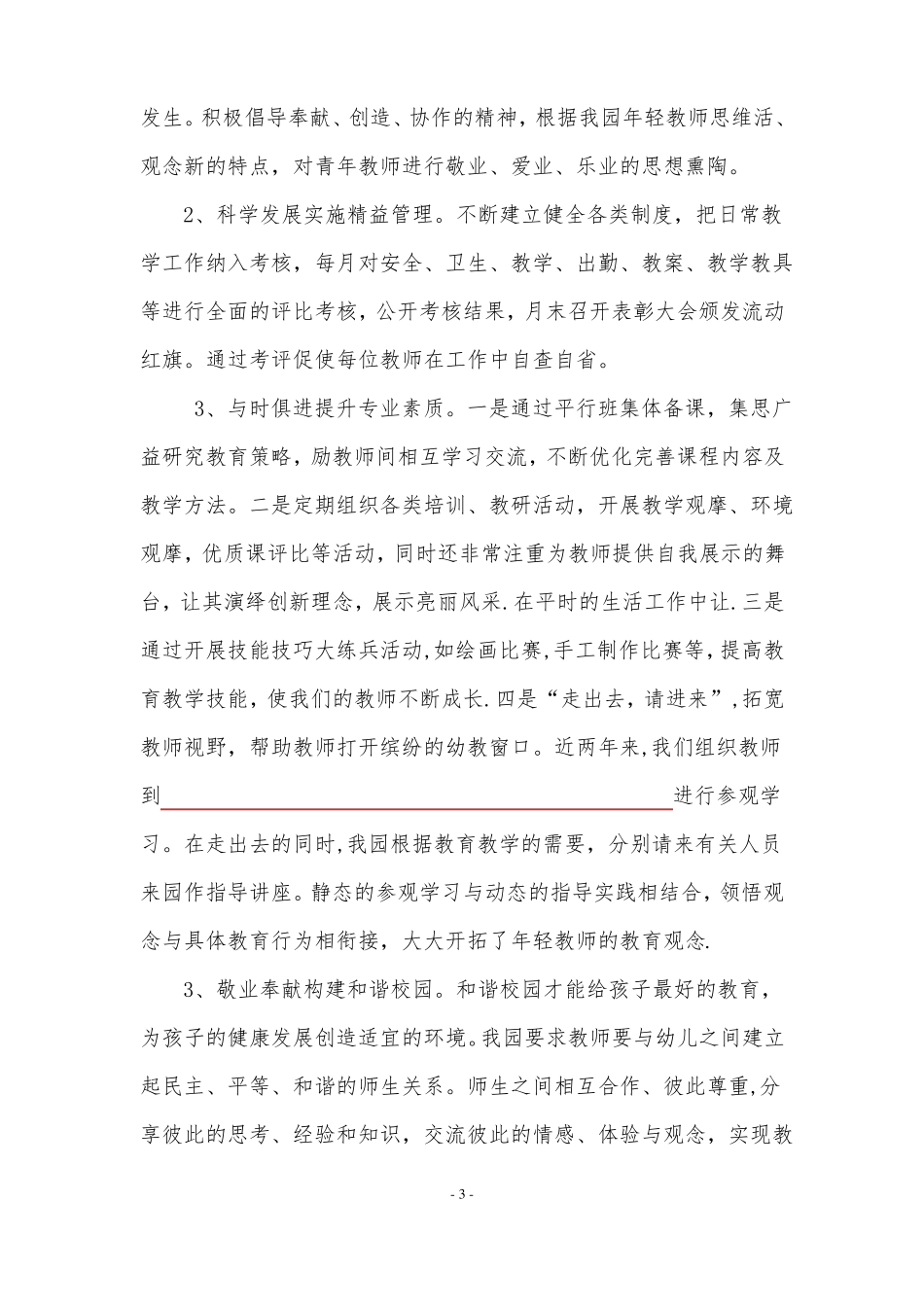 幼儿园晋级汇报材料_第3页