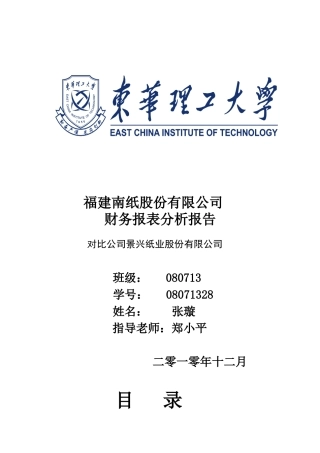 财务报表分析报告之模板2