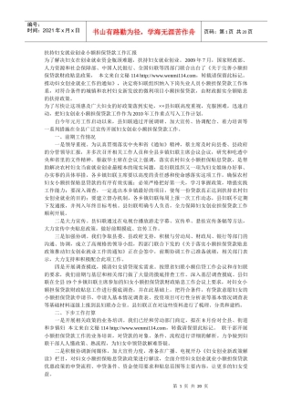 小额贷款工作汇报