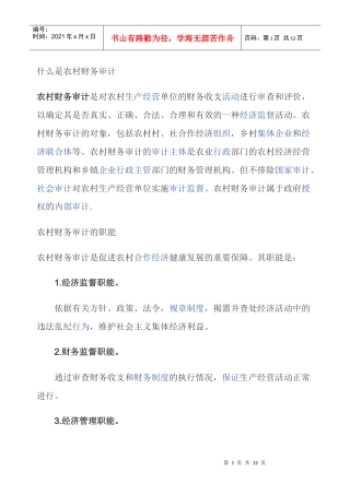 什么是农村财务审计