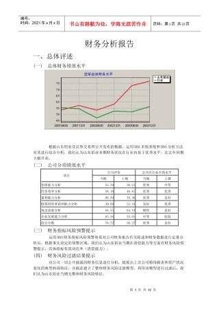某某公司财务分析报告模版