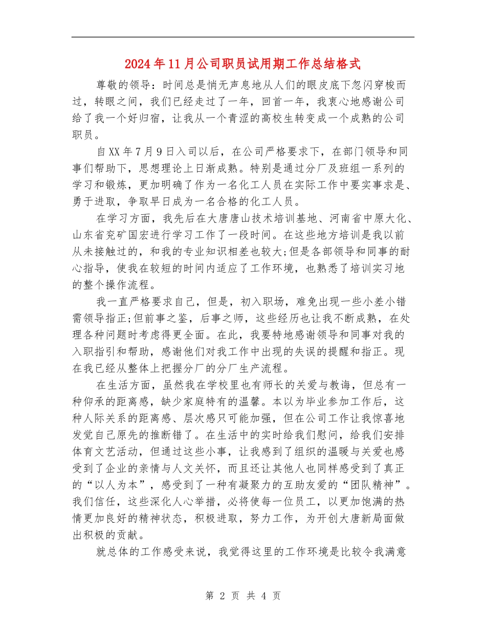 2024年11月公司职员试用期工作总结格式_第2页