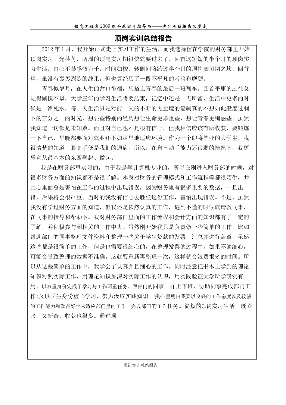 财务顶岗实训报告_第2页