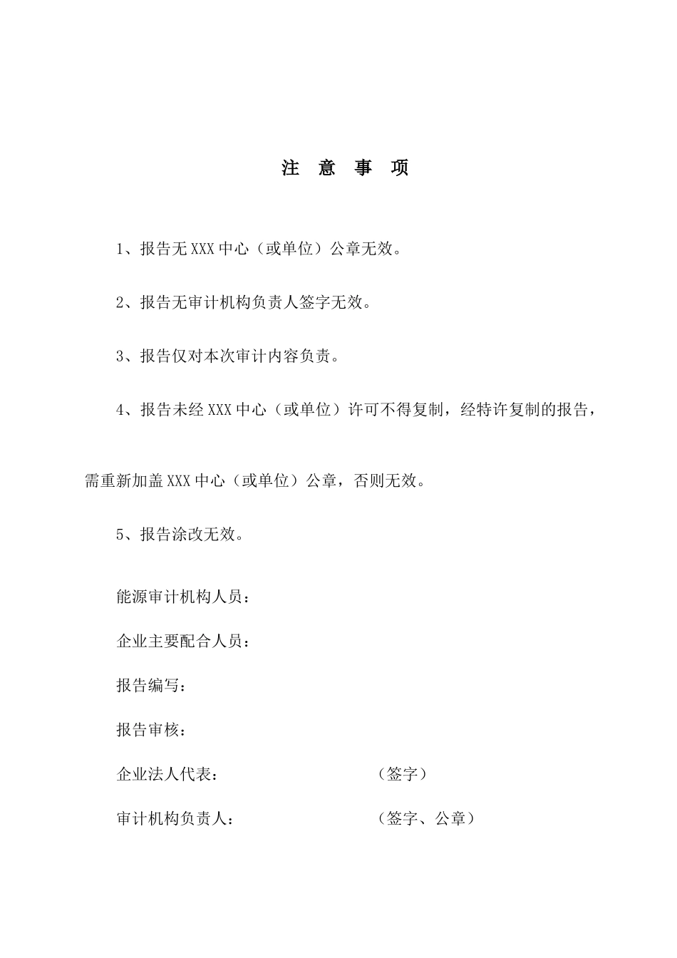 江苏海国节能审计报告_第2页