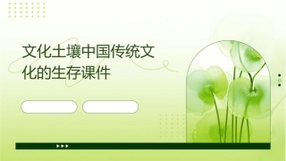 文化土壤中国传统文化的生存课件