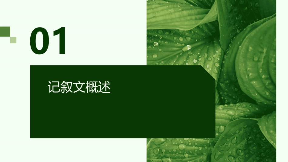 高一记叙文写作指导课件_第3页