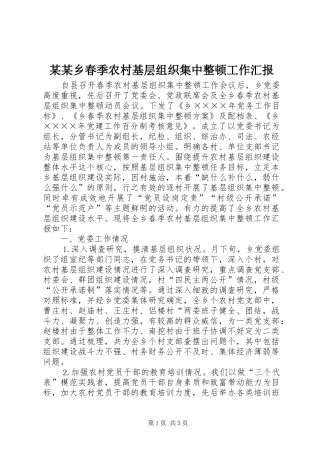 某某乡春季农村基层组织集中整顿工作汇报