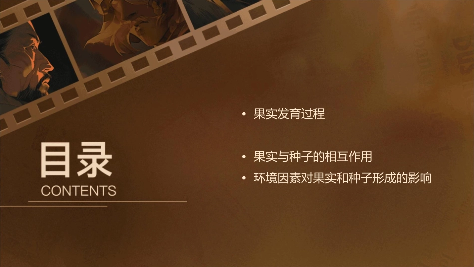 果实和种子的形成一课件_第2页