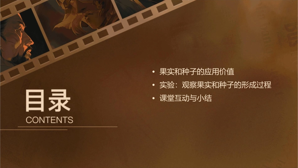 果实和种子的形成一课件_第3页