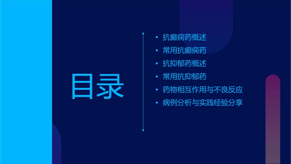 抗癫痫药抗抑郁药课件_第2页
