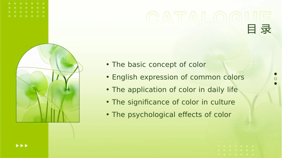 颜色英文演讲课件_第2页