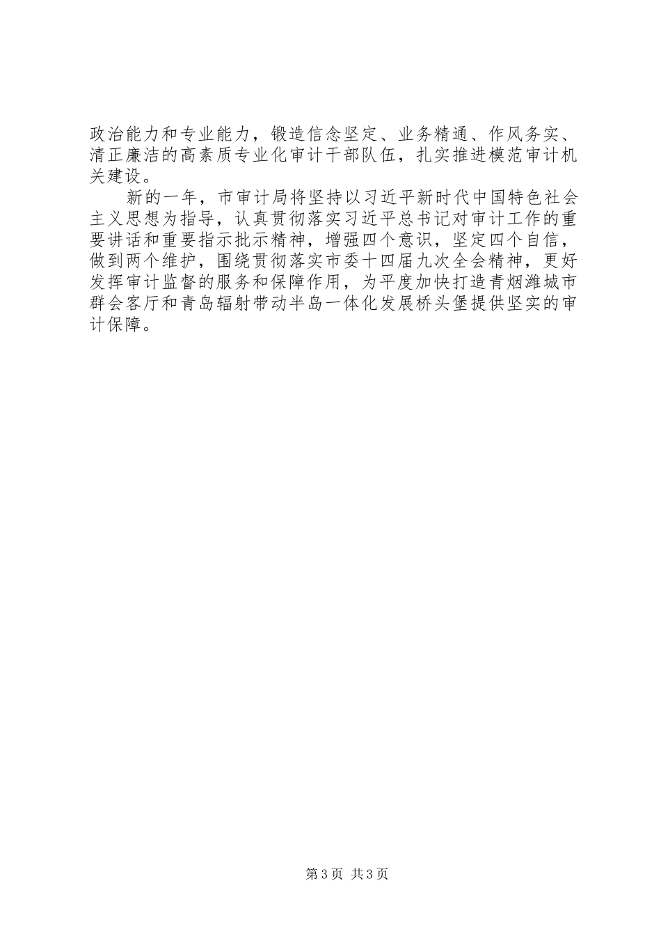 贯彻落实市委十四届九次全会精神的报告_第3页