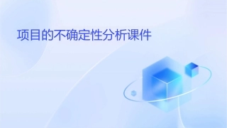 项目的不确定性分析课件