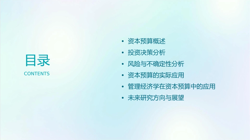 管理经济学资本预算课件_第2页