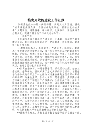 粮食局效能建设工作汇报