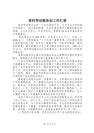 某村劳动服务站工作汇报