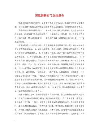 贷款销售实习总结报告 
