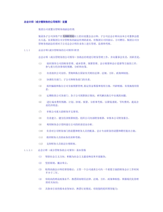 总会计师设置讲义