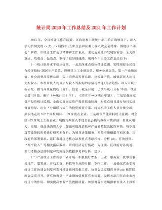 统计局年工作总结及2021年工作计划 