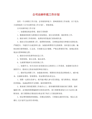 公司出纳年底工作计划 