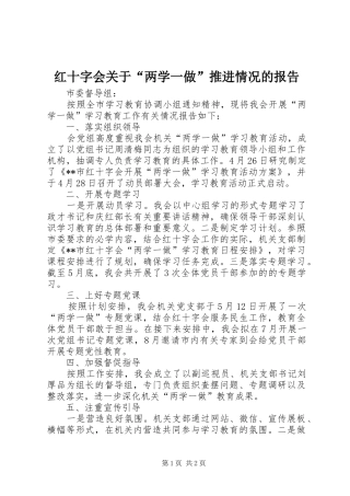 红十字会关于“两学一做”推进情况的报告